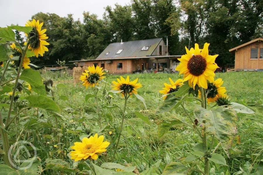 Pillars of Hercules Organic Farm in Falkland, Fife