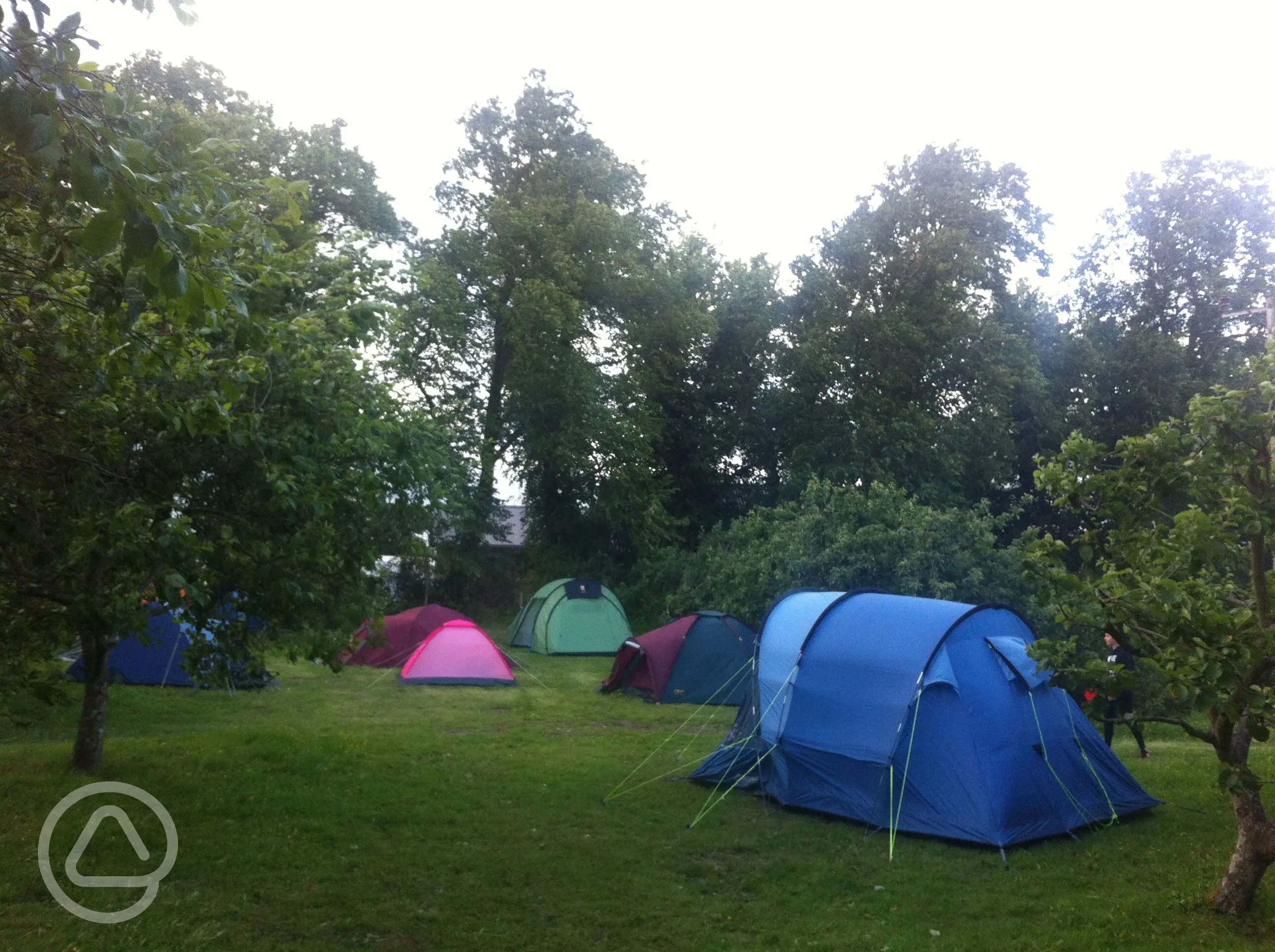 Pillars of Hercules Organic Farm in Falkland, Fife