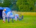 Valley Farm Campsite in Oxford, Oxfordshire