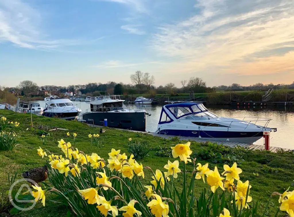 35+ York campsites the best camping sites near York