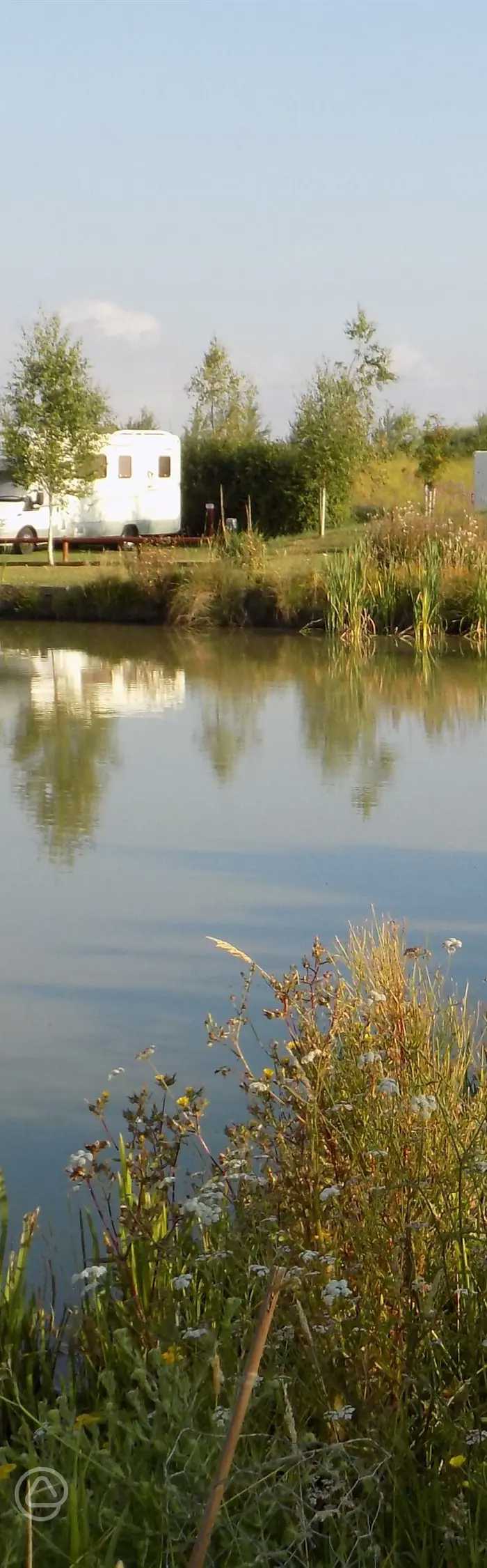 Withy Water Caravan and Camping Park in Highbridge, Somerset