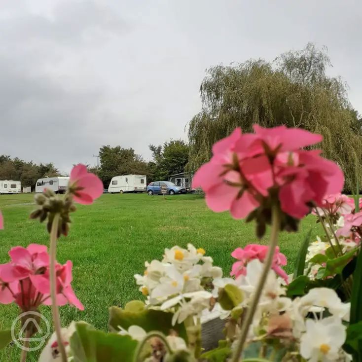 Mill Hill Farm Caravan and Camping Park in Saxmundham, Suffolk