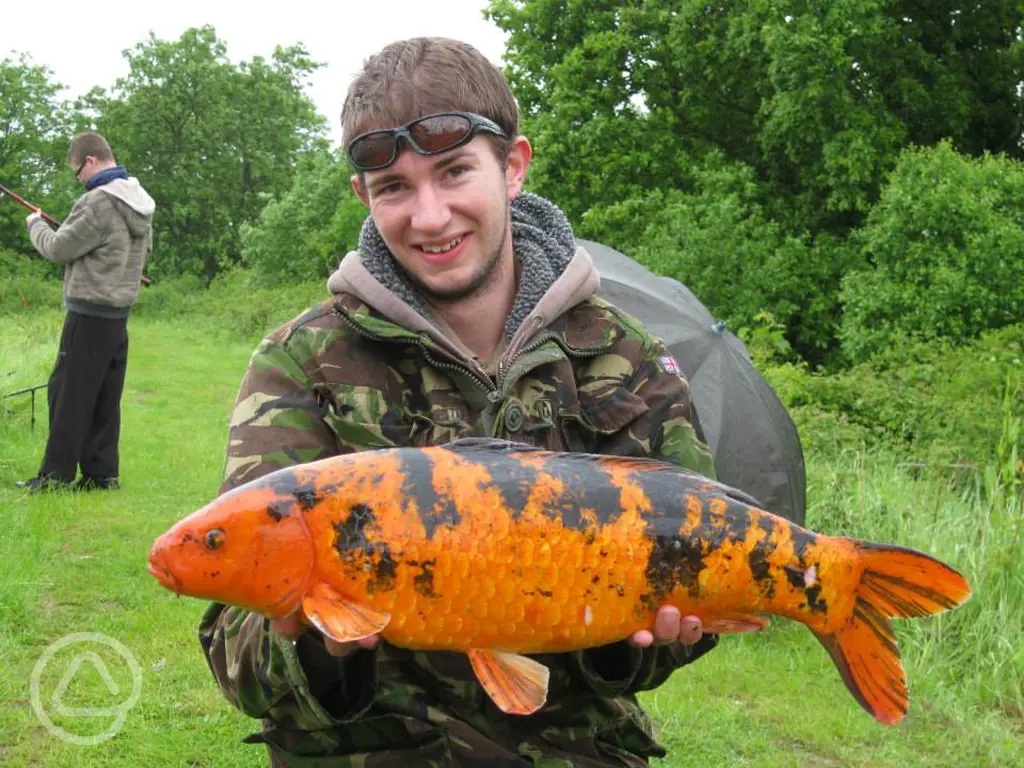 Mill Hill Farm Caravan and Camping Park in Saxmundham, Suffolk