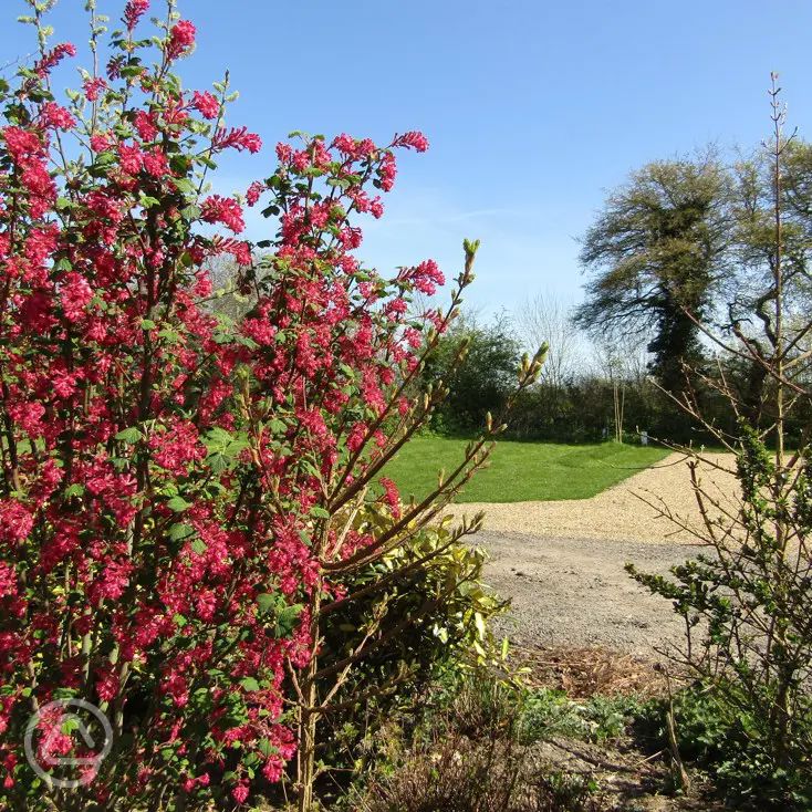 Mill Hill Farm Caravan and Camping Park in Saxmundham, Suffolk