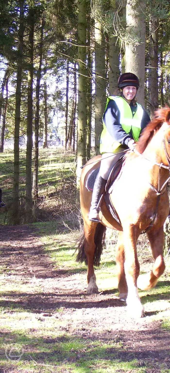 Bardwell Manor Equestrian Centre in Bury St Edmunds, Suffolk