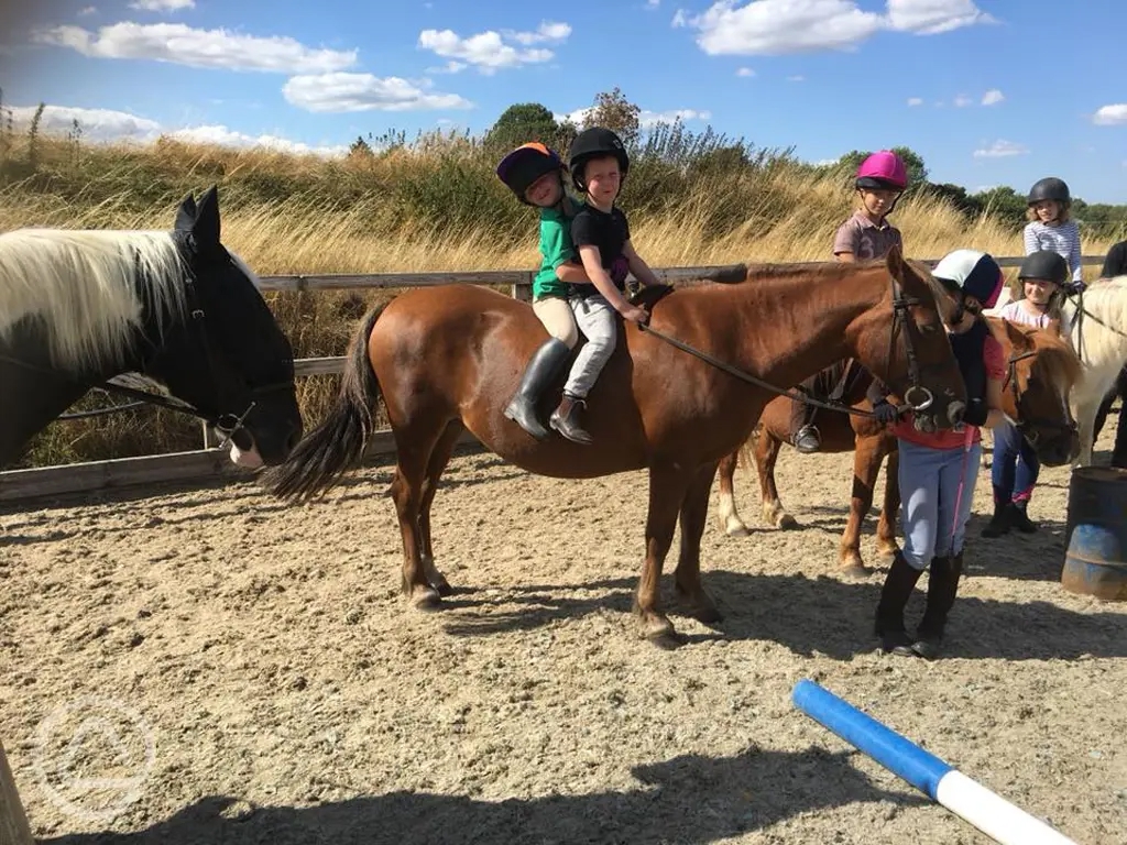 Bardwell Manor Equestrian Centre in Bury St Edmunds, Suffolk