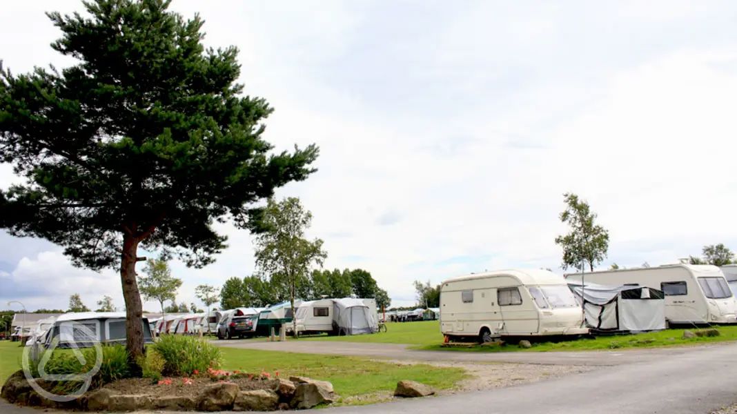 High Moor Farm Park in Harrogate, North Yorkshire