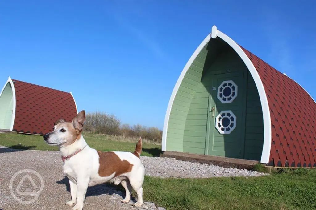 Dog friendly campsites in Blackpool, Lancashire