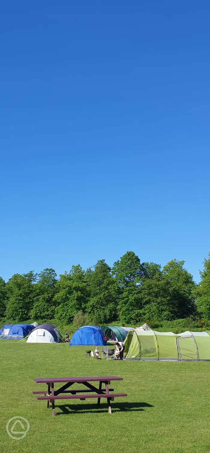 Whitlingham Broad Campsite reviews