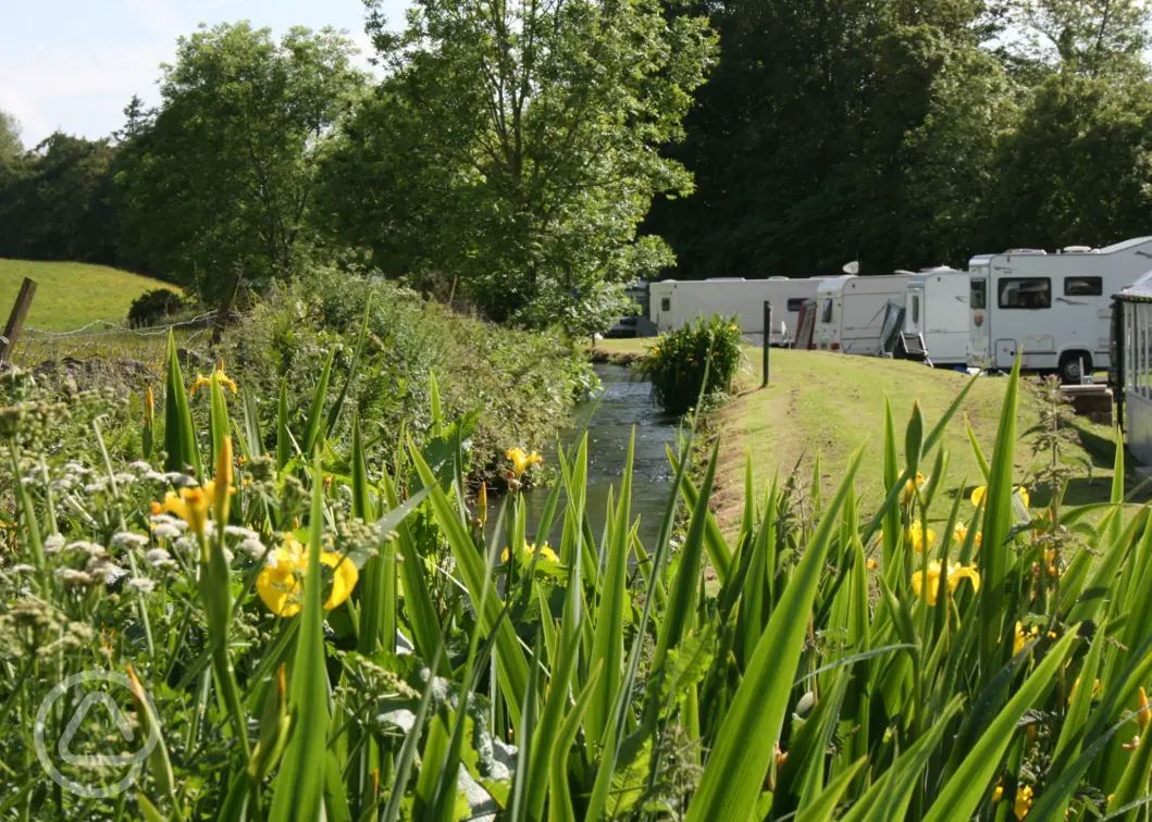 Lake District caravan parks 50+ top Lakes caravan sites