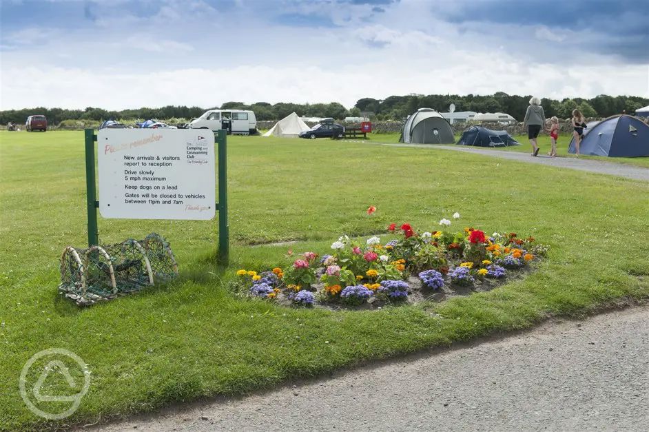 Beadnell Bay Camping And Caravanning Club Site