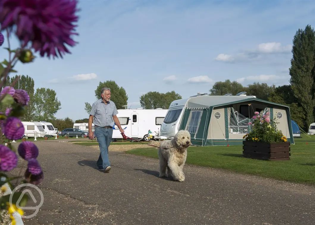 Cambridge campsites Best camping in Cambridge, Cambridgeshire
