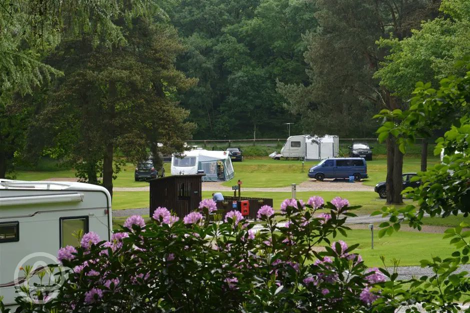 Cannock Chase Camping and Caravanning Club Site in Rugeley, Staffordshire