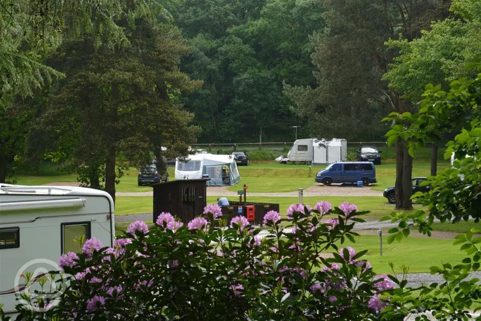 Cannock Chase Camping And Caravanning Club Site In Rugeley Staffordshire 