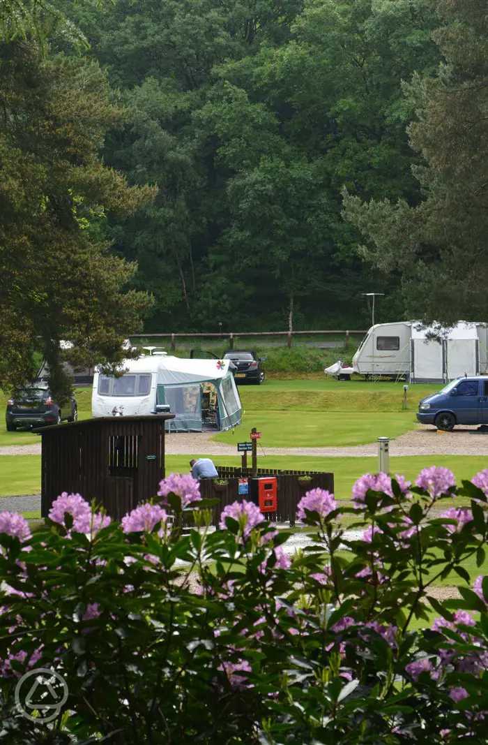 Cannock Chase Camping and Caravanning Club Site in Rugeley, Staffordshire