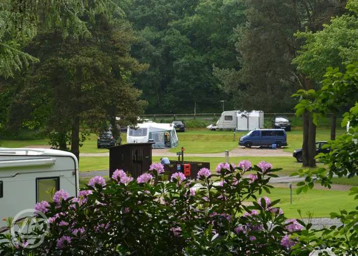 Cannock campsites Best camping in Cannock, Staffordshire