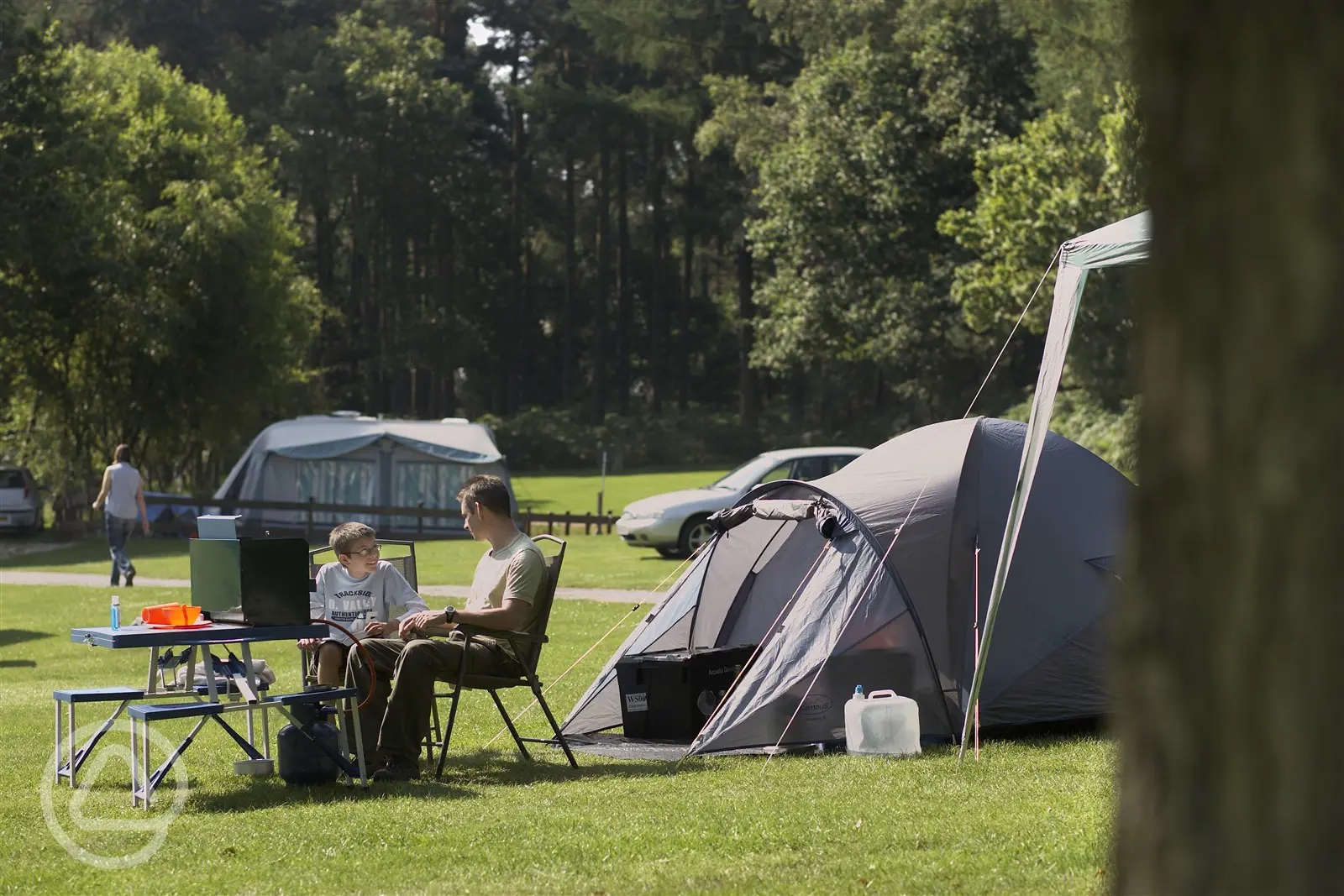 Cannock Chase Camping and Caravanning Club Site in Rugeley, Staffordshire