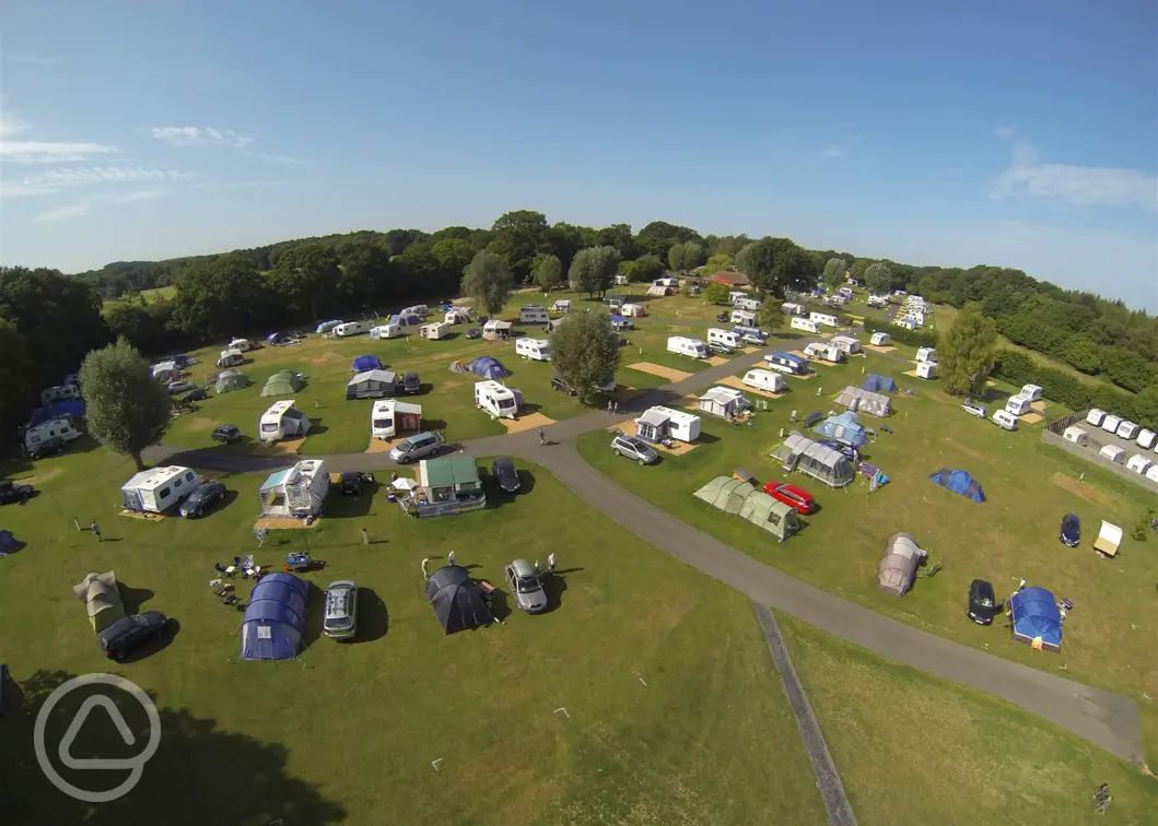 40+ dog friendly campsites in the New Forest