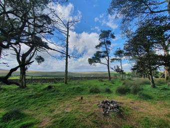 denbigh experimental forest camping