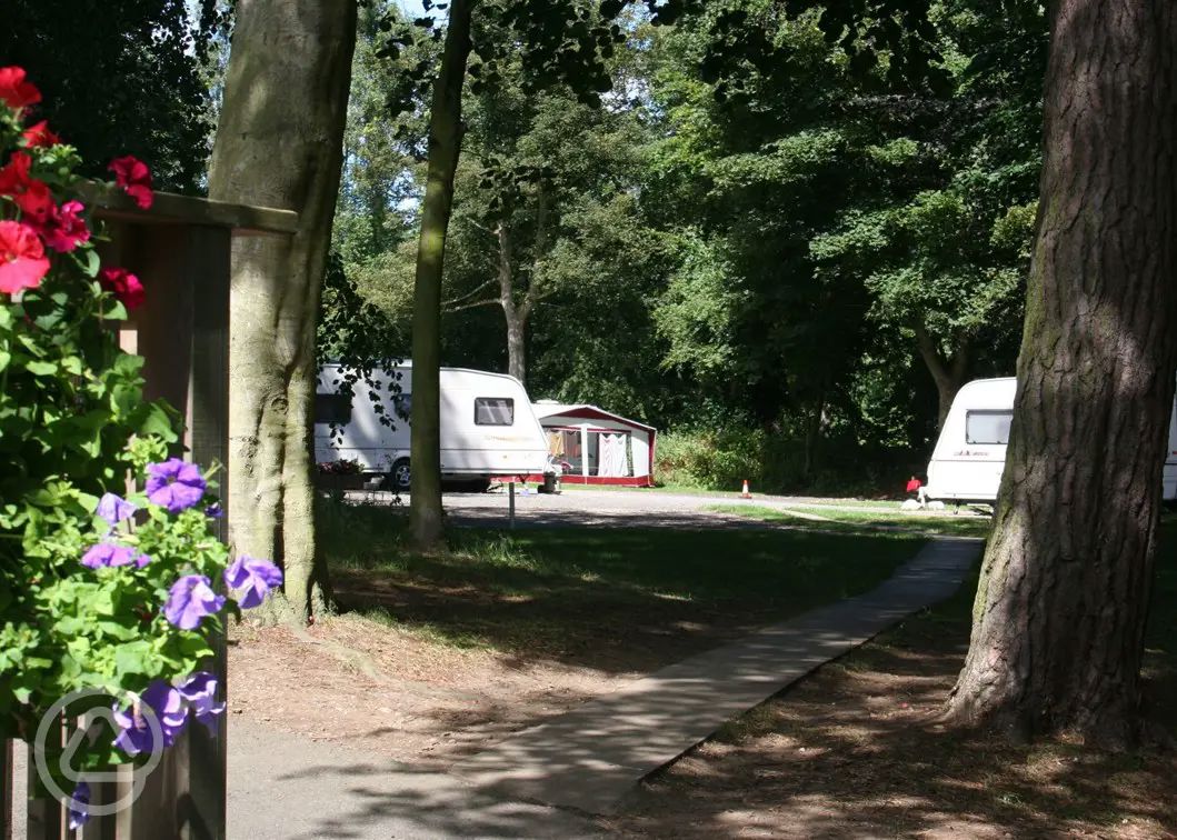 Fife caravan parks 6 top touring sites in Fife, Scotland