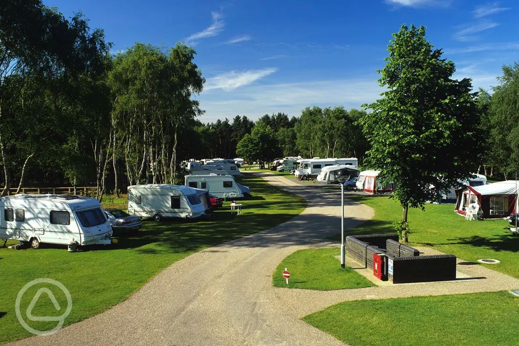 Clumber Park Caravan Club Site Worksop