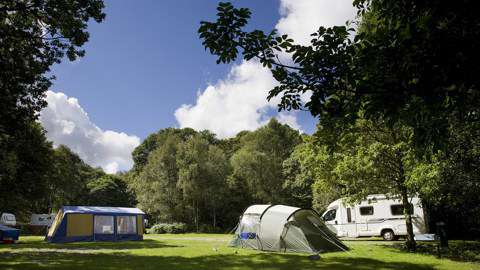 Coniston Park Coppice Caravan Club Site