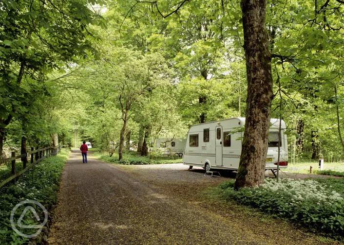 20+ Kendal campsites best camping in Kendal, Lake District