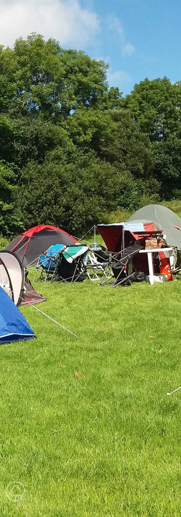 Whitemoor Camping in Barnstaple, Devon