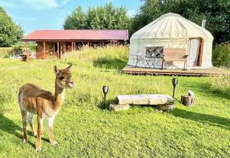 Yurt camping yorkshire sale