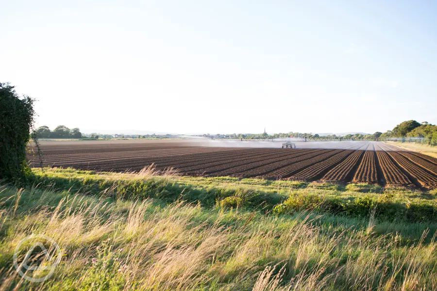 Donnington Wild Camping in Chichester, West Sussex