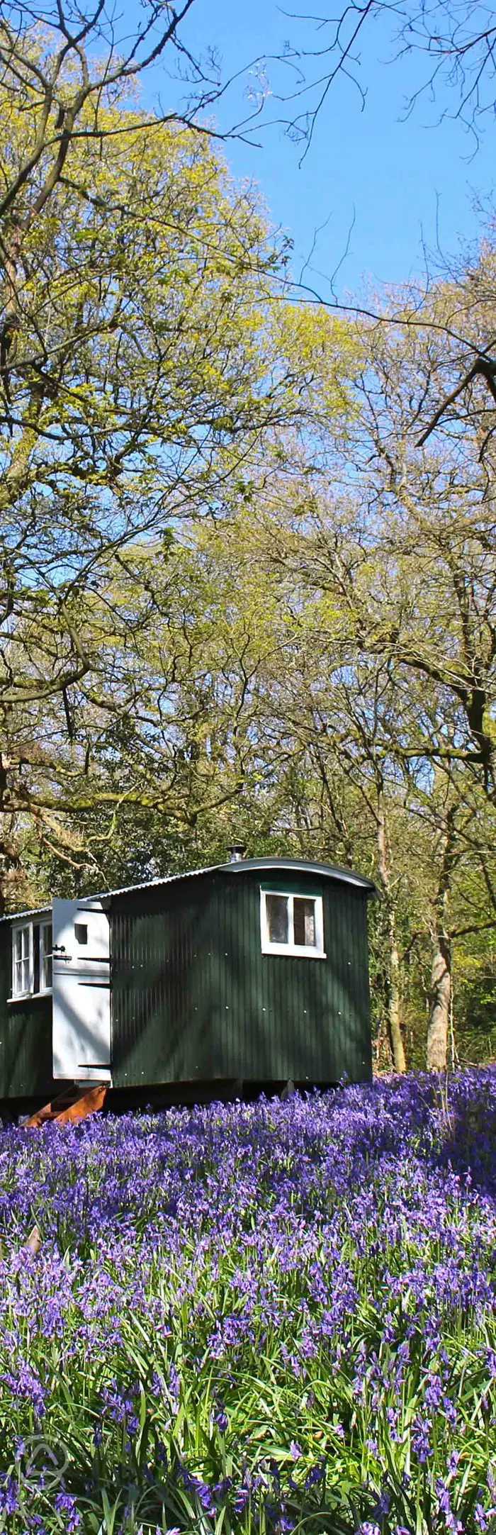 The Green Escape in Ockley, Surrey