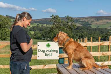 Catgill Farm Camping And Glamping In Skipton, North Yorkshire - Book ...