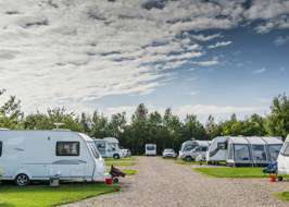 Sherwood Forest Camping >> Campsites Near Sherwood Forest Sherwood Forest Camping >> Campsites Near Sherwood Forest