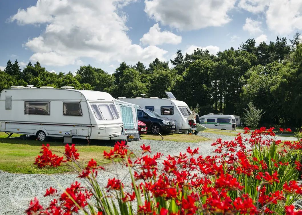 Shrewsbury campsites Best camping in Shrewsbury, Midlands