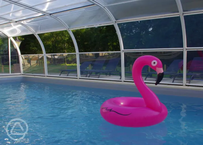 Campsites with swimming pools in the New Forest