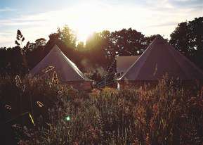 suffolk campsite campsites bees saxmundham