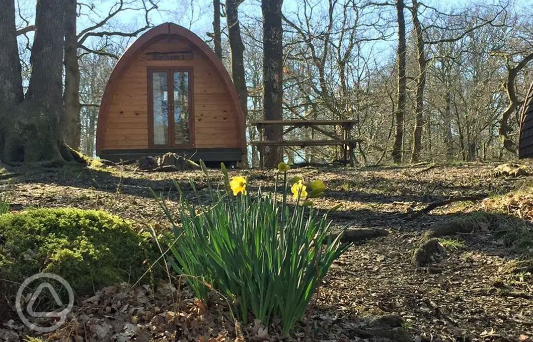 40+ top dog friendly camping pods in the Lake District