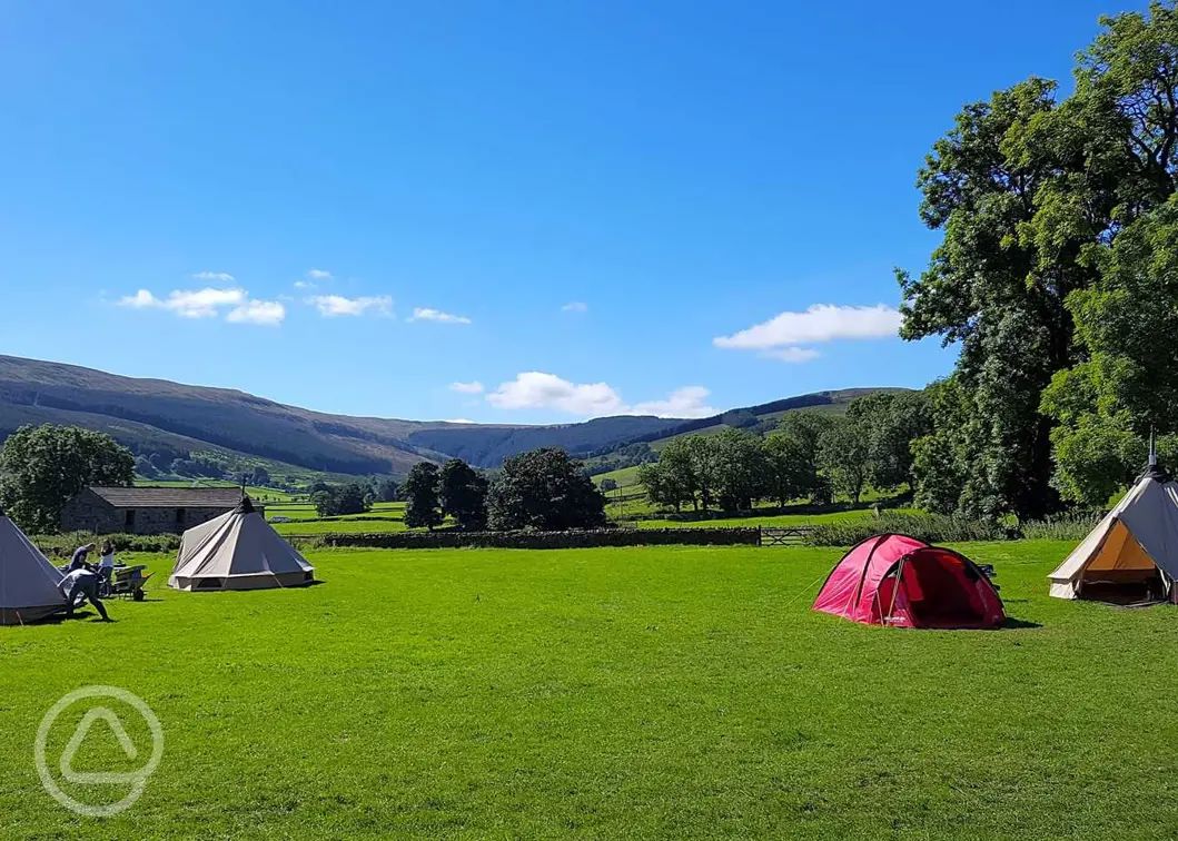 Dog friendly campsites in Yorkshire