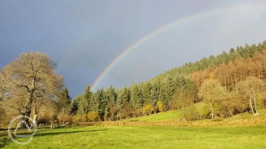 Wonderful Wilderness In Welshpool Powys