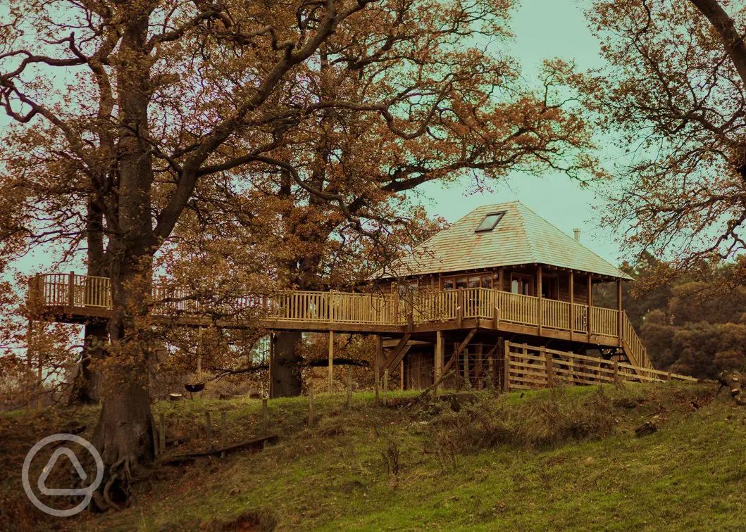 Treehouse holidays in Cumbria and the Lake District