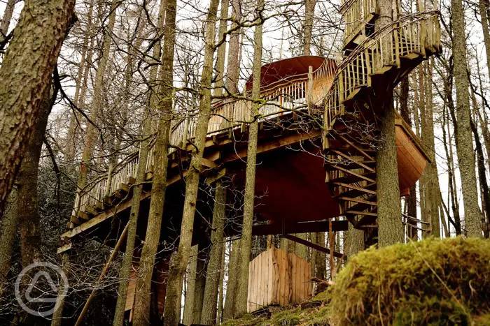 living room tree house machynlleth