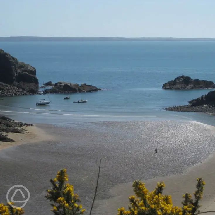 Birtwick Park Certificated Site in St Davids, Pembrokeshire book