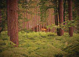 Sherwood Forest Camping >> Campsites Near Sherwood Forest Sherwood Forest Camping >> Campsites Near Sherwood Forest