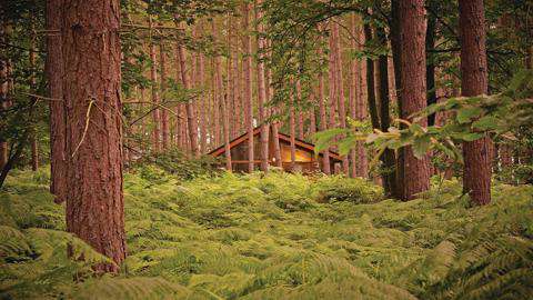Sherwood Forest Camping >> Sherwood Forest Lodges In Edwinstowe Nottinghamshire Sherwood Forest Camping >> Sherwood Forest Lodges In Edwinstowe Nottinghamshire