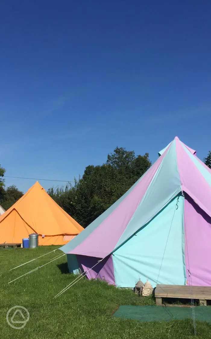 Botany Camping in Warminster, Wiltshire