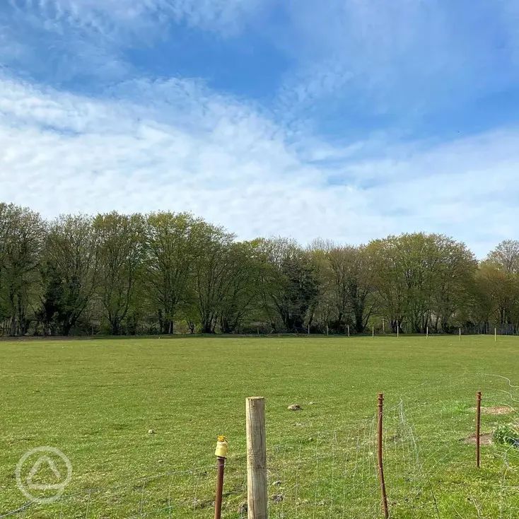 Springbridge Farm in Eastleigh, Hampshire