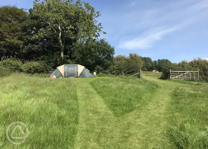 200+ campsites in Devon the best sites for camping in Devon