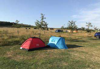 Adult only campsites in Dorset