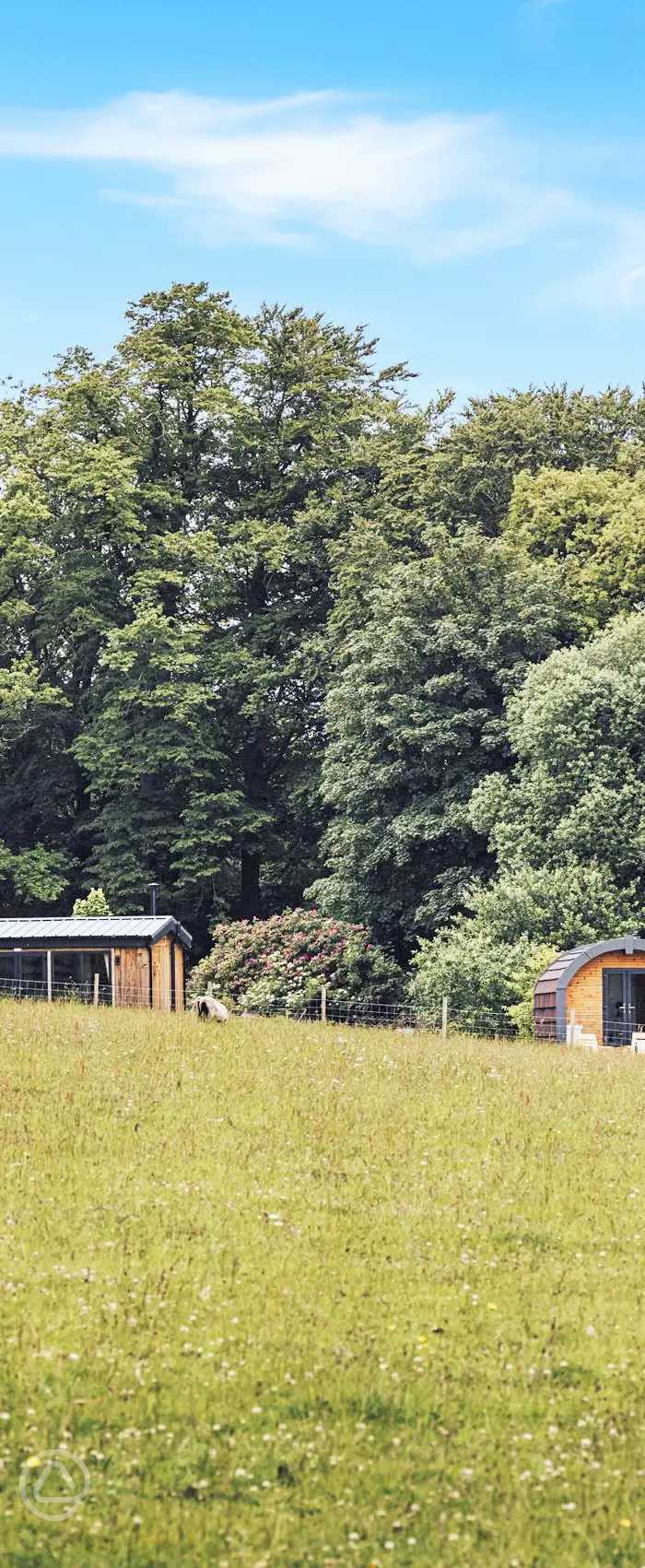 Eden Valley Glamping reviews