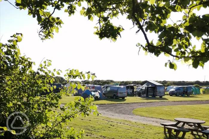 Tarka Trail Camping in Barnstaple, Devon - book online now